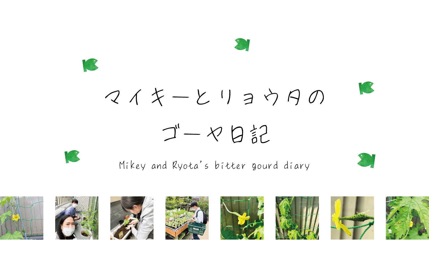 OKAFOODS日記|マイキーとリョウタのゴーヤ日記