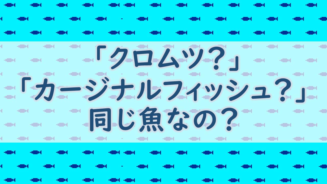 「クロムツ?」「カージナルフィッシュ?」同じ魚なの?|お魚豆知識