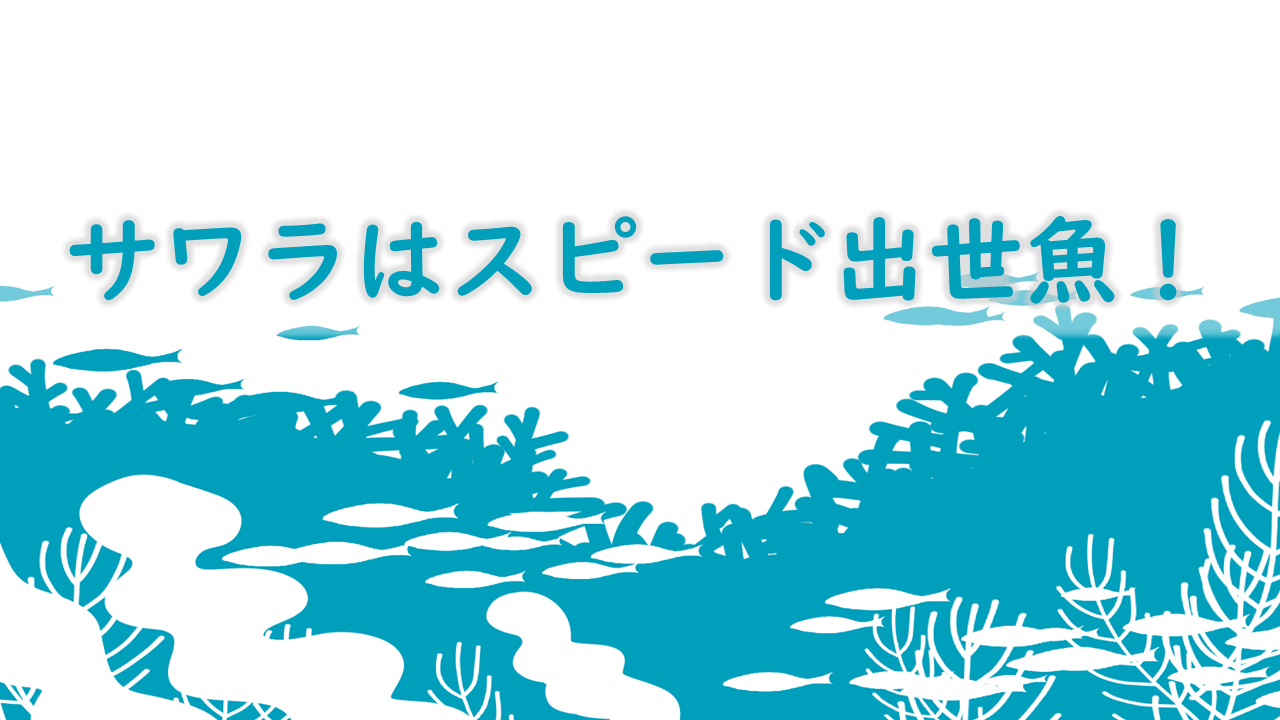 『サワラはスピード出世魚!』|お魚豆知識