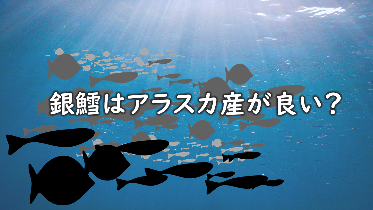『銀鱈はアラスカ産が良い?』|お魚豆知識