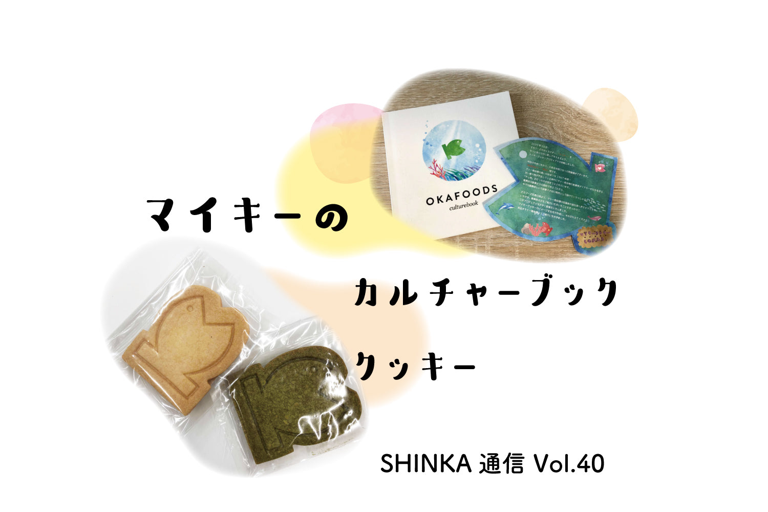 オカフーズSHINKA通信Vol.40|OKA'sキッチン大改装!/インナーブランディング/DX 他
