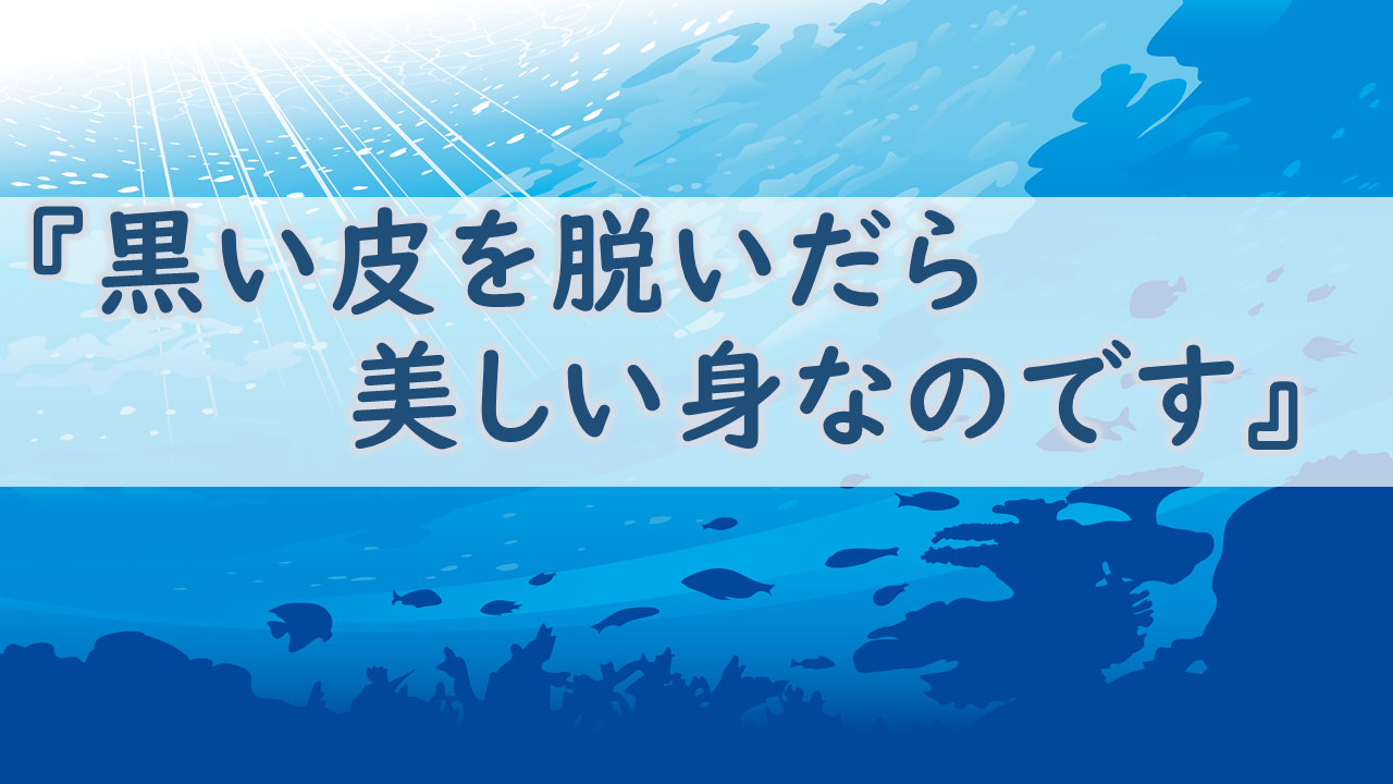 『黒い皮を脱いだら美しい身なのです』マトウダイ|お魚豆知識
