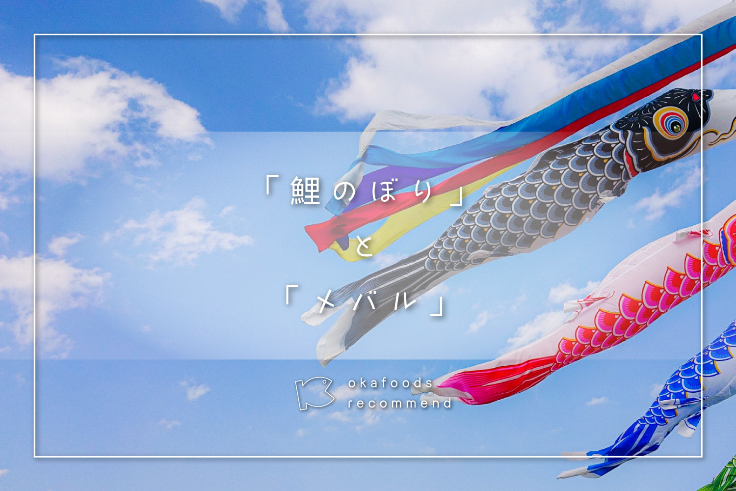 うぉっ得通信|5月「鯉のぼりとメバル」