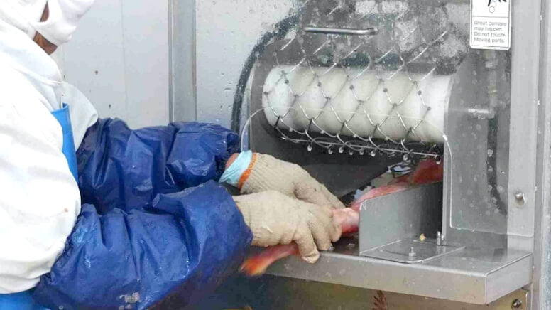 原料解凍・処理工程