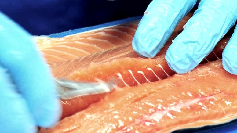 小骨(ピンボーン)取り工程