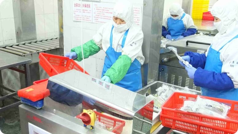 検査・箱詰め工程