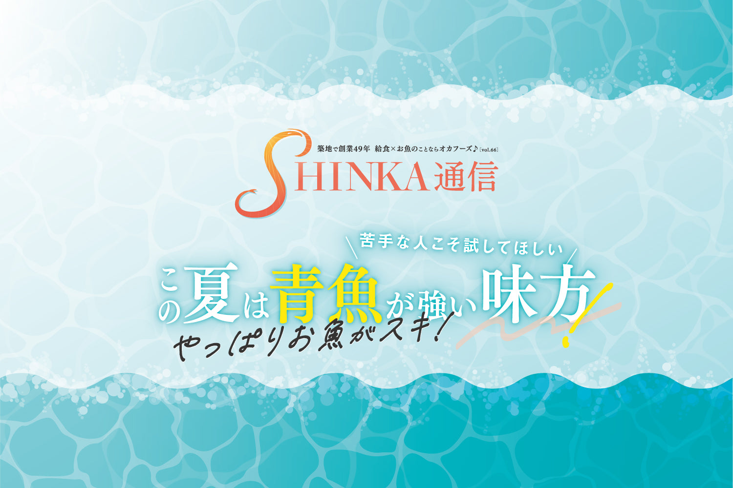 SHINKA通信vol.66｜やっぱりお魚がスキ！この夏は青魚が強い味方