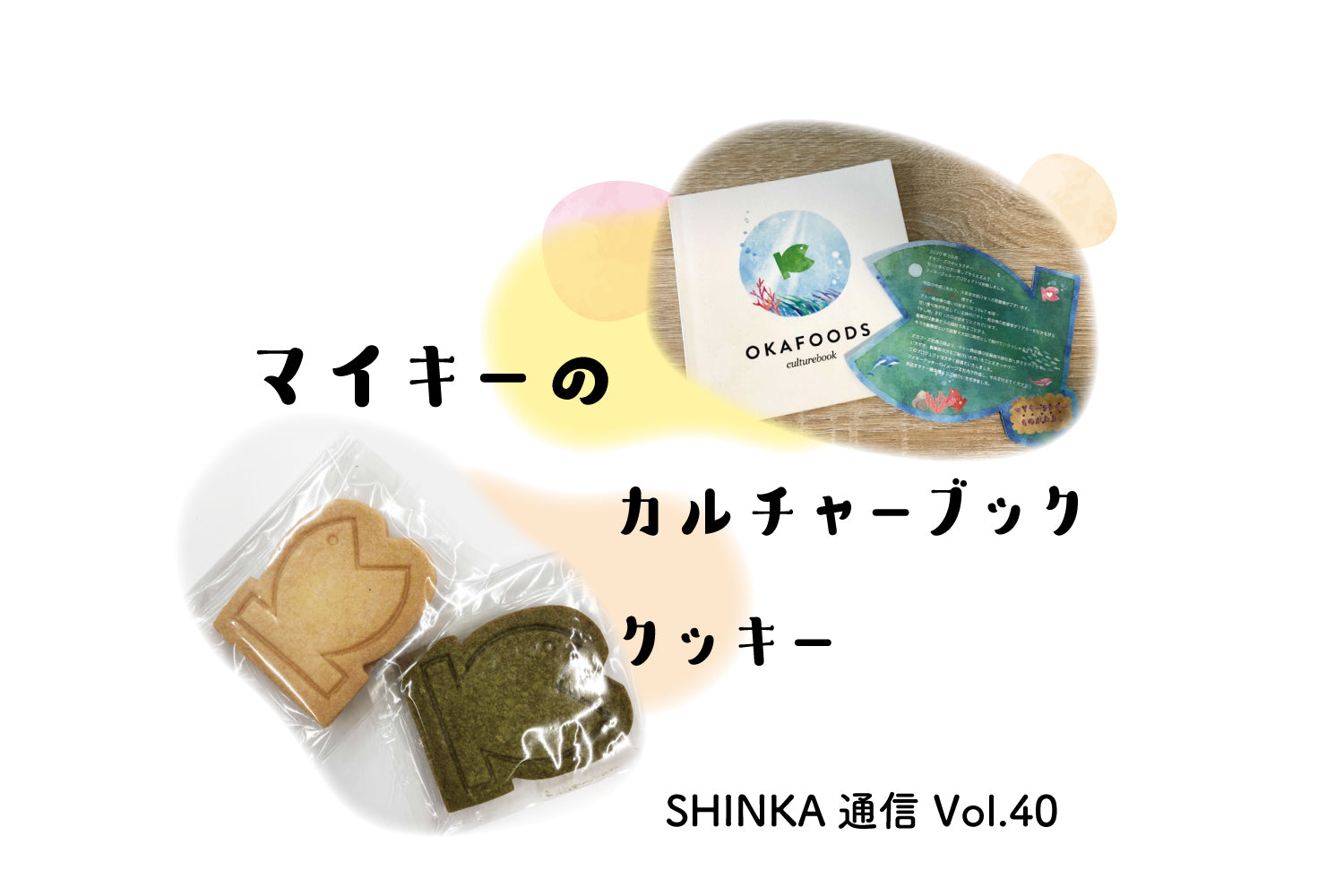オカフーズSHINKA通信Vol.40｜OKA'sキッチン大改装！/インナーブランディング/DX 他