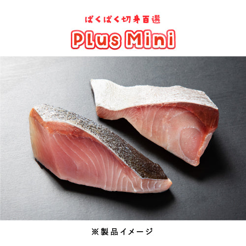 ブリ 骨取り 切身 40g（ぱくぱく切身百選Plus Mini）冷凍 骨取り魚 切身魚 水産加工