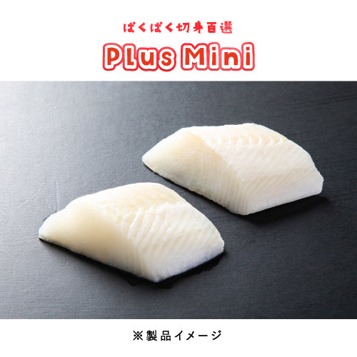 カラスカレイ 骨取り 切身 40g（ぱくぱく切身百選Plus MIni）冷凍 骨取り魚 切身魚 水産加工