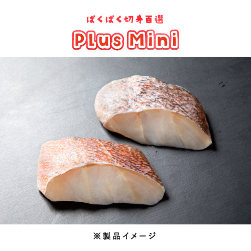 メバル 骨取り 切身 40g（ぱくぱく切身百選Plus Mini）冷凍 骨取り魚 切身魚 水産加工