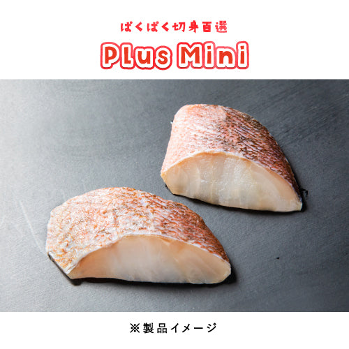 メバル 骨取り 切身 30g（ぱくぱく切身百選Plus Mini）冷凍 骨取り魚 切身魚 水産加工