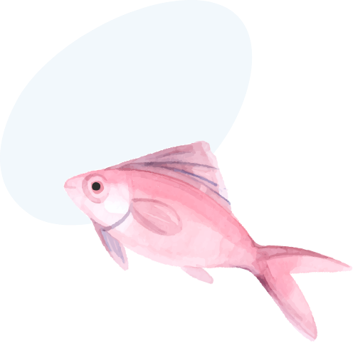 オカフーズについて