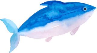 企画
