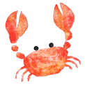 VARIETYお役立ち通信